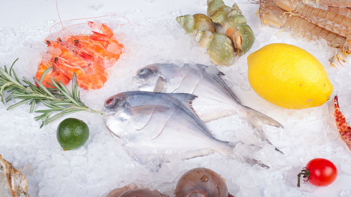 MACK T NASH frozen seafood